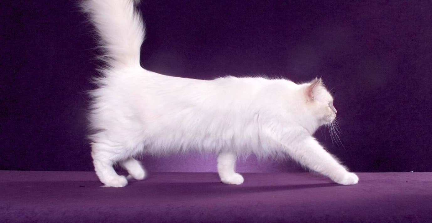 Jak nás nejlépe kontaktovat a kde nás přesně naleznete?background image