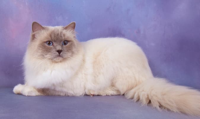 Zde se dozvíte něco málo o tom, jak jsme začali.background image