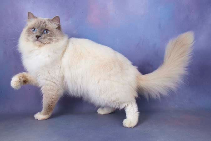 Výstavní Úspěchybackground image